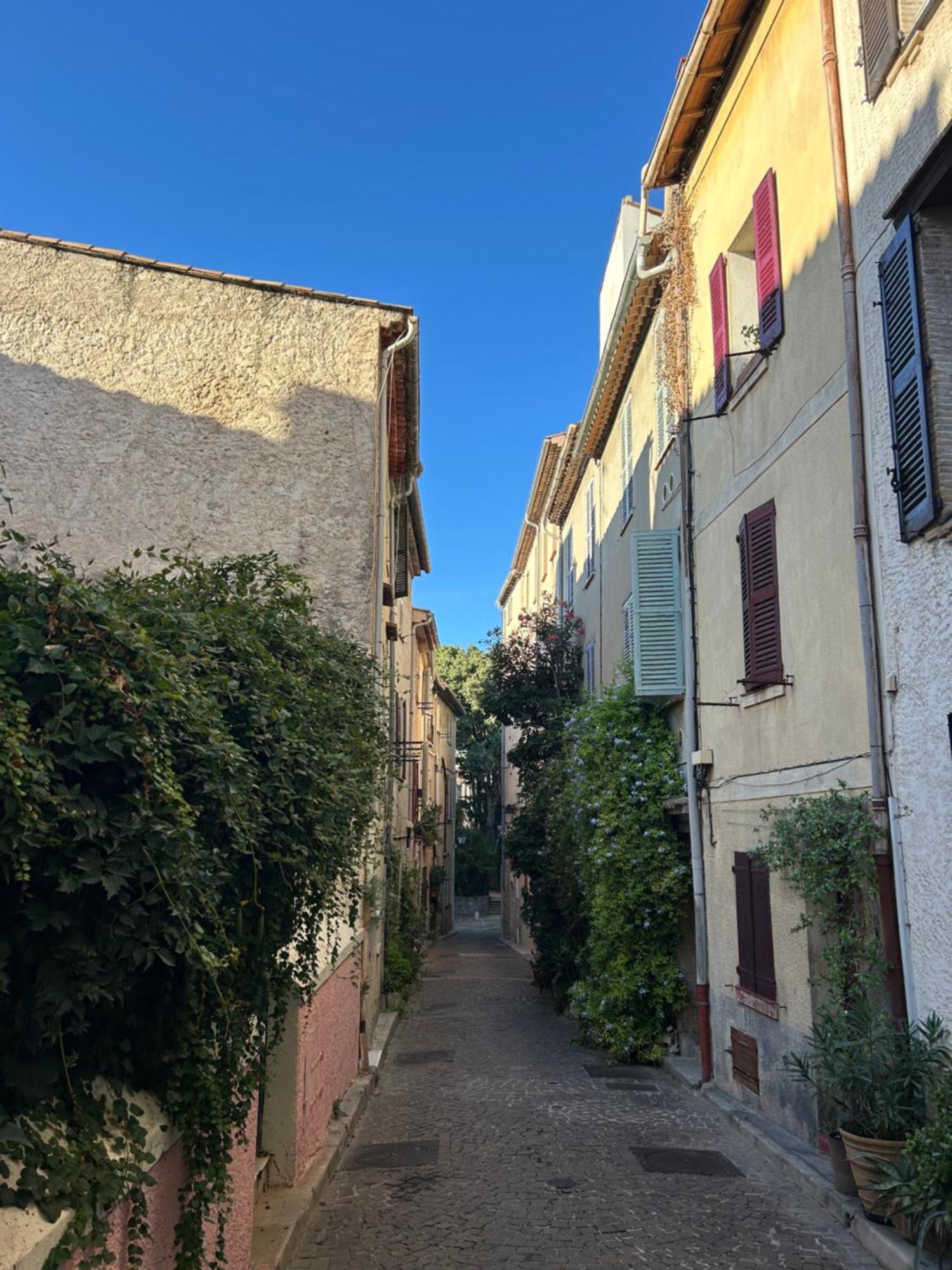 Charmant 3 Pieces Renove Au Coeur Du Vieil Antibes Dış mekan fotoğraf